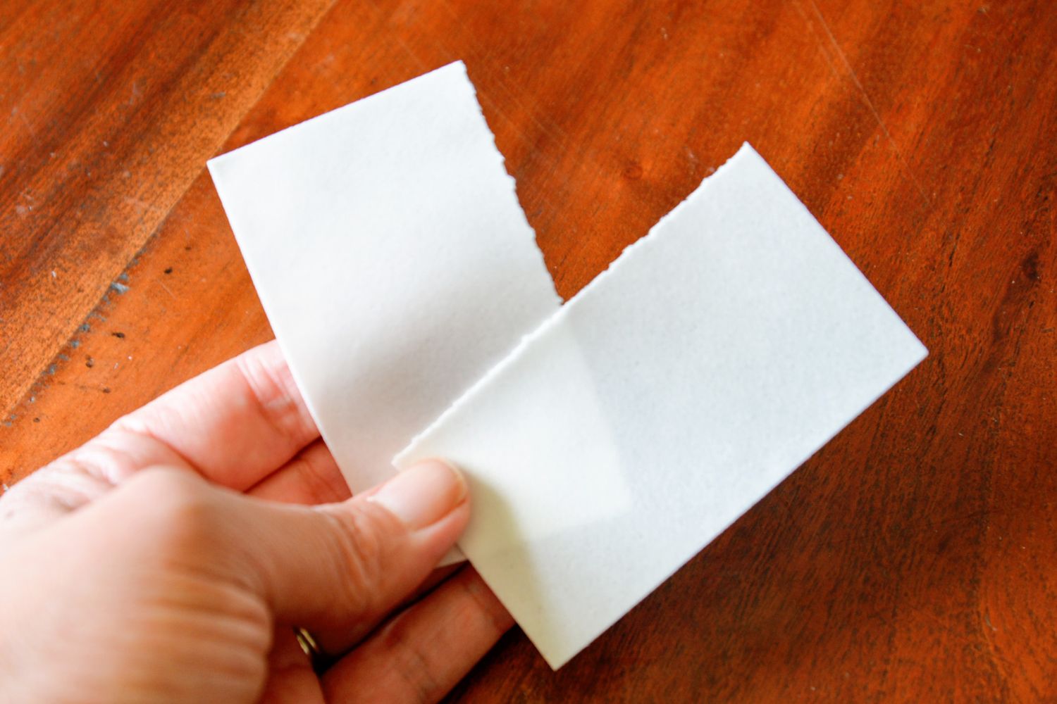 A person holding two small strips of True Earth laundry detergent strips before using them in testing.